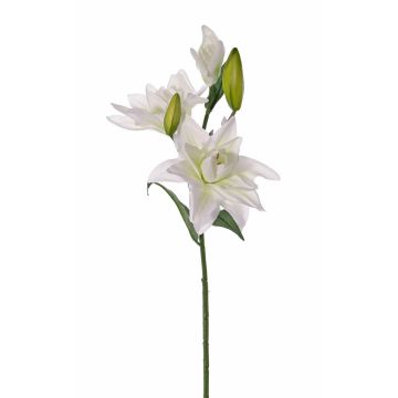 Lirio flor artificial ISALIE, blanco-verde, 80cm, Ø15cm