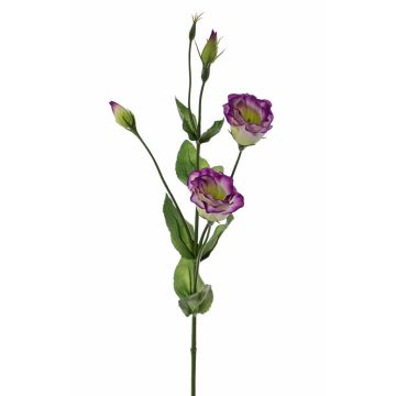 Lisianthus artificial JUDIKA violeta-verde, 70cm, Ø5cm