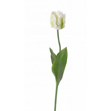 Tulipán loro artificial STEFANIE, blanco-verde, 65cm, Ø7cm