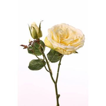 Rosa centifolia artificial JUDY, amarillo, 35cm, Ø8cm