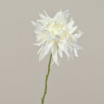 Dalia sintética SMILA, crema, 55cm, Ø12cm
