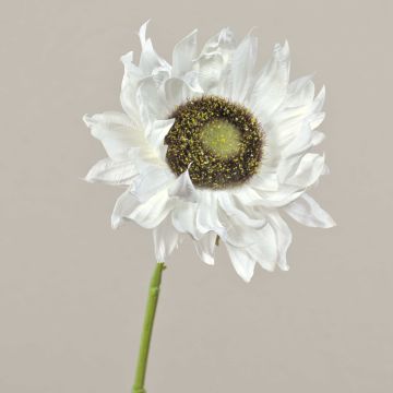 Girasol textil JANIKA crema, 60cm, Ø12cm