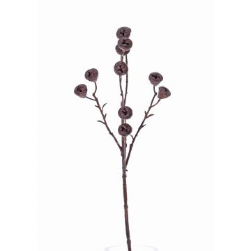 Rama de eucalipto artificial BASILIUS con frutas, marrón, 60cm