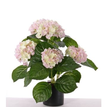 Hortensia flor artificial TEMARI, blanco-rosado, 35cm, Ø10-12cm