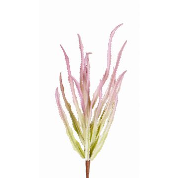 Euphorbia trigona artificial REESE con barra para fijación, rosa-verde, 30cm, Ø20cm