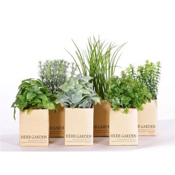 Mix de plantas aromáticas artificiales CHUCK en maceta de papel, verde, 15-25cm