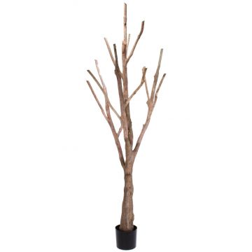 Tronco sin hojas de árbol artificial WILKO con ramas, marrón, 215cm