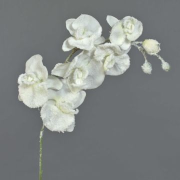 Rama de orquídea Phalaenopsis sintética MYRIA, cubierta de nieve, blanca, 75cm