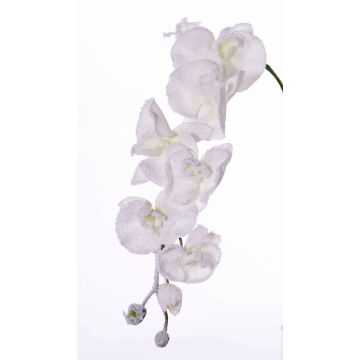 Rama de orquídea Phalaenopsis sintética MYRIA, cubierta de nieve, blanca, 75cm