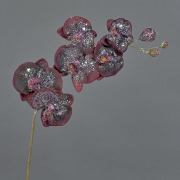Orquídea Phalaenopsis artificial NEILA, cubierto de nieve, rojo oscuro, 75cm