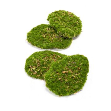 Piezas de musgo artificial para decorar HEFEI, 4 piezas, verde, 11x15x5cm