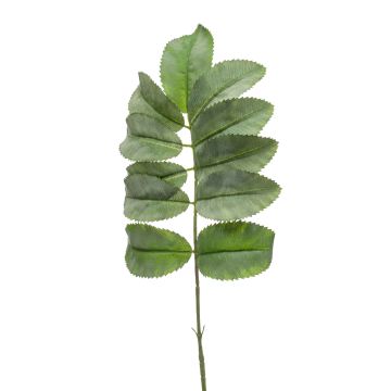Melianthus artificial SATORU, verde, 65cm