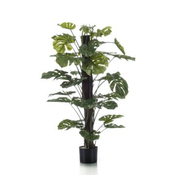 Filodendro monstera deliciosa artificial LASO, 120cm