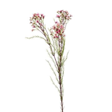 Hoya artificial MEDEA, rosa, 80cm