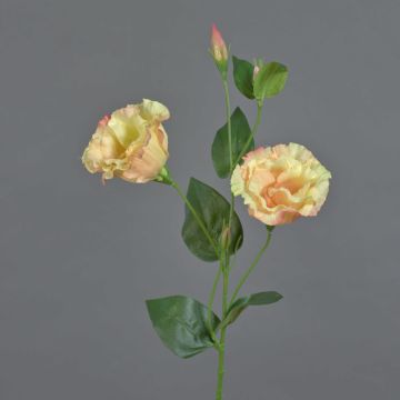 Flor artificial de eustoma JENO, crema-rosa, 60cm