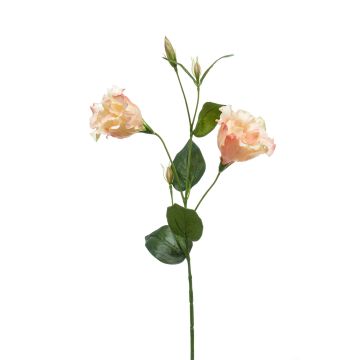 Flor artificial de eustoma JENO, crema-rosa, 60cm