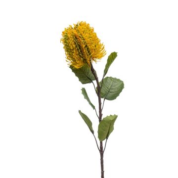 Banksia artificial CONAKIR, amarillo, 55cm