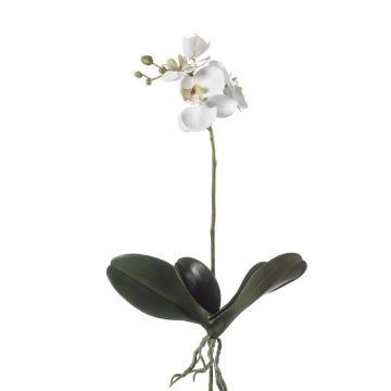 Orquídea phalaenopsis artificial FAO en vara de ajuste, blanco, 45cm