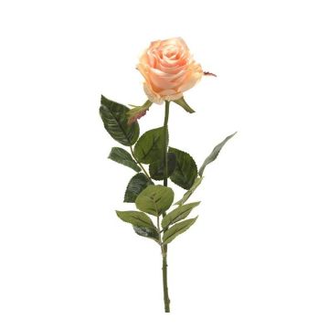 Rosa artificial BRINA, crema-rosa, 70cm