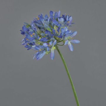 Agapanto de plástico ORNIL, azul, 90cm