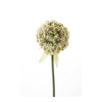 Allium artificial DURBAN, blanco, 70cm