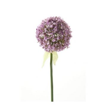 Allium artificial DURBAN, violeta claro, 70cm