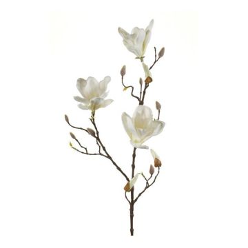 Magnolia artificial MALVAO, crema, 90cm