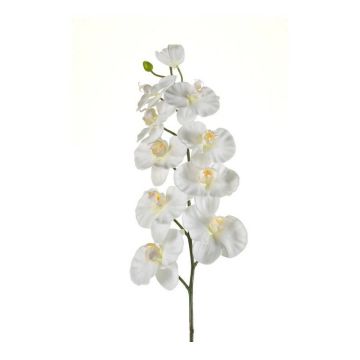 Rama de orquídeas phalaenopsis de plástico ANAT, crema, 100cm