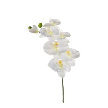 Rama de orquídeas phalaenopsis de plástico BASTET, blanco, 80cm
