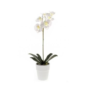 Orquídea phalaenopsis artificial ISIS, maceta de cerámica, blanco, 55cm