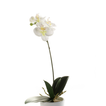 Orquídea phalaenopsis artificial ISIS, en vara de ajuste, blanco, 40cm