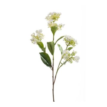 Hortensia artificial ALAZNE, crema, 75cm