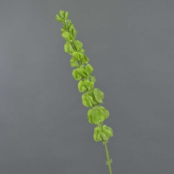 Flor artificial de campanas de irlanda SIERA, verde, 80cm