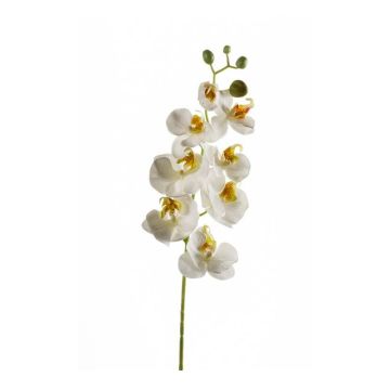 Rama de orquídeas phalaenopsis artificial MINA, blanco, 70cm
