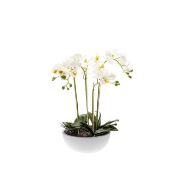 Orquídea phalaenopsis artificial MINA en maceta cerámica, blanco, 60cm