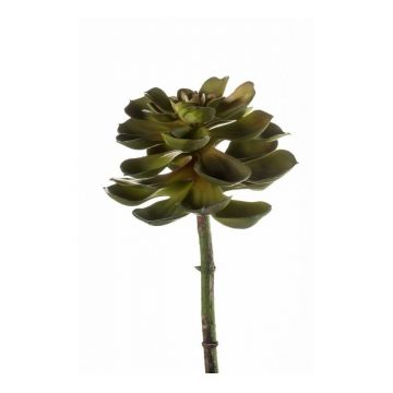Echeveria morani artificial PICO en vara de ajuste, verde, 20cm