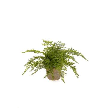 Helecho hembra artificial MELLEA en maceta de terracota, verde, 25cm