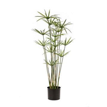 Cyperus alternifolius artificial NIKOSIA, verde, 90cm