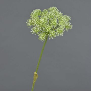 Heracleum artificial EVERALDO, blanco, 80cm