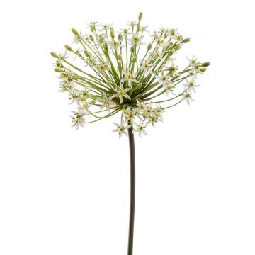 Allium artificial BRAIS, blanco, 90cm