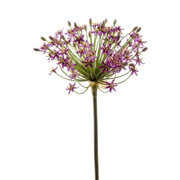Allium artificial BRAIS, violeta, 90cm