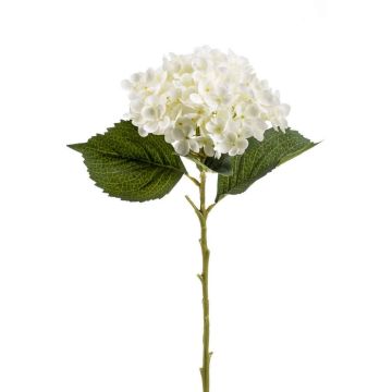 Hortensia artificial EGIA, crema, 50cm