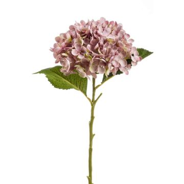 Hortensia artificial EGIA, rosa, 50cm