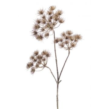 Planta artificial de heracleum BELMIRO, marrón, 100cm