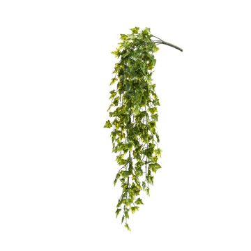 Planta colgante de hiedra artificial ZASE en vara de ajuste, espacios semiprotegidos, verde, 75cm