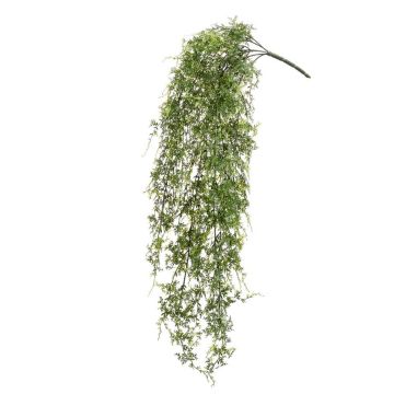 Planta colgante de helecho hembra artificial KALI, en vara de ajuste, espacios semiprotegidos, verde, 80cm