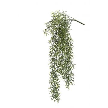 Planta colgante de cactus rhipsalis artificial PUEBLA en vara de ajuste, verde, 75cm
