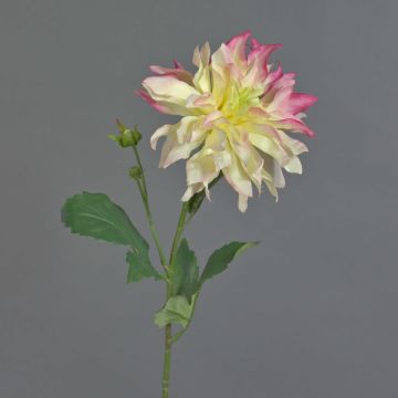 Dalia artificial CINTHIA, rosa-blanco, 60cm