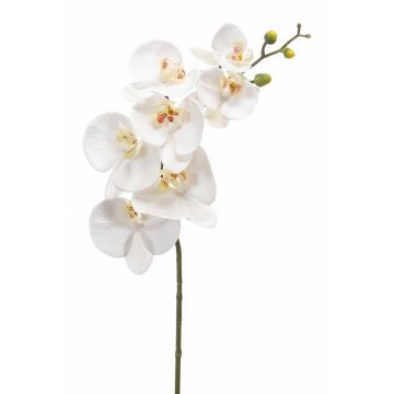 Rama de orquídeas phalaenopsis artificial NEITH, blanco, 85cm