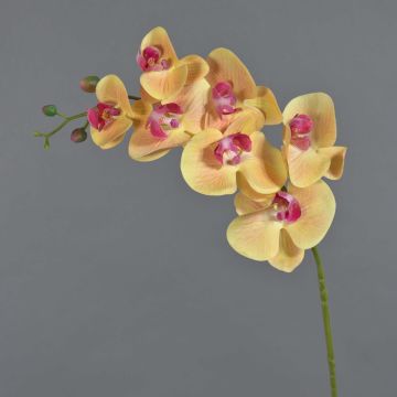 Rama de orquídeas phalaenopsis artificial NEITH, naranja-fucsia, 85cm